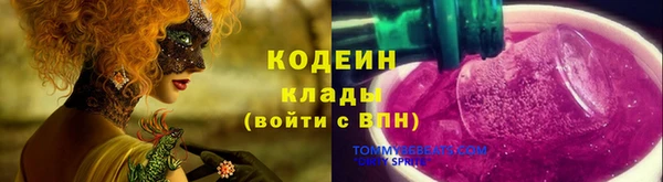 крисы Вязьма