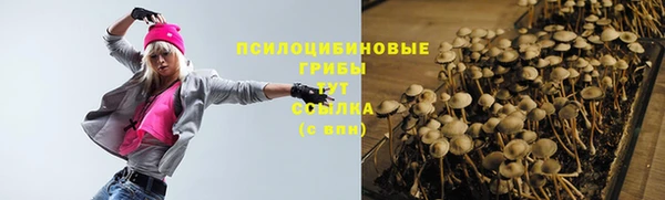 крисы Вязьма