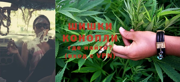 крисы Вязьма