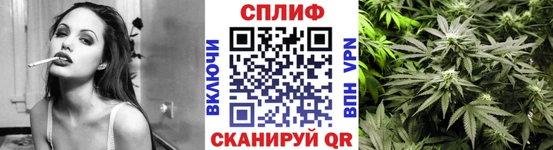 blacksprut как войти  Орлов  Шишки марихуана марихуана 